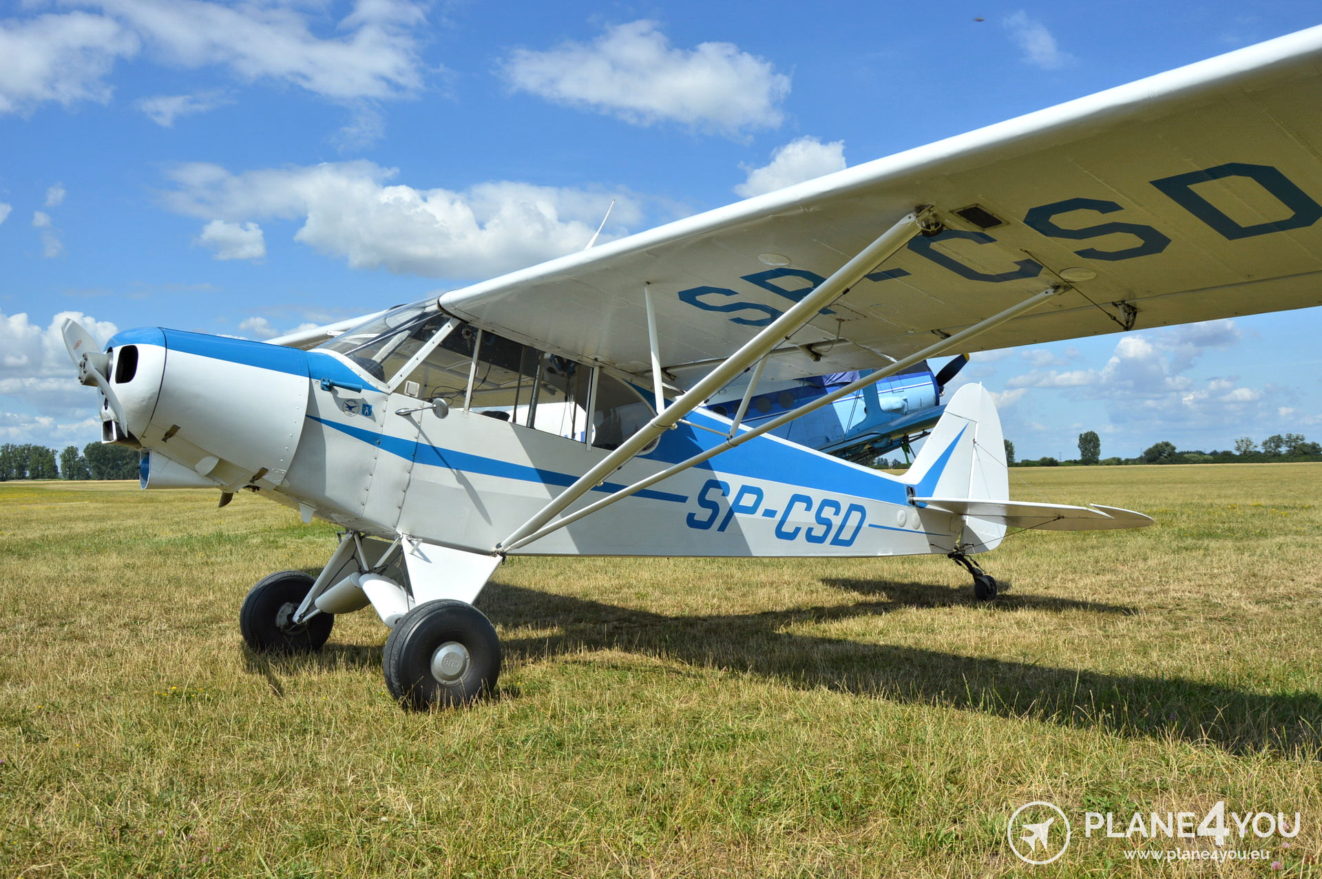 Super cub rc cheap plane for sale