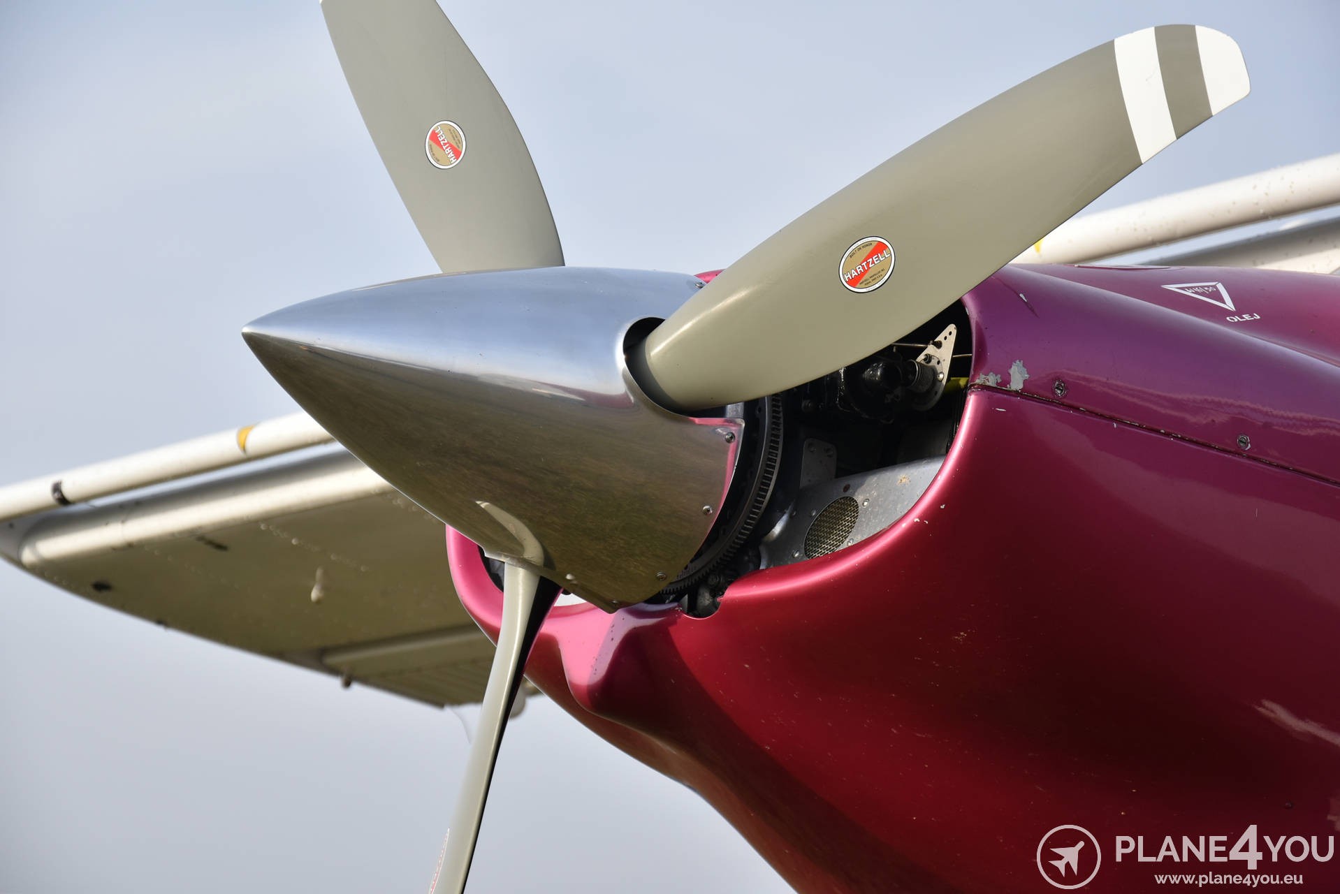 1996 PZL 104M Wilga 2000, photo 3