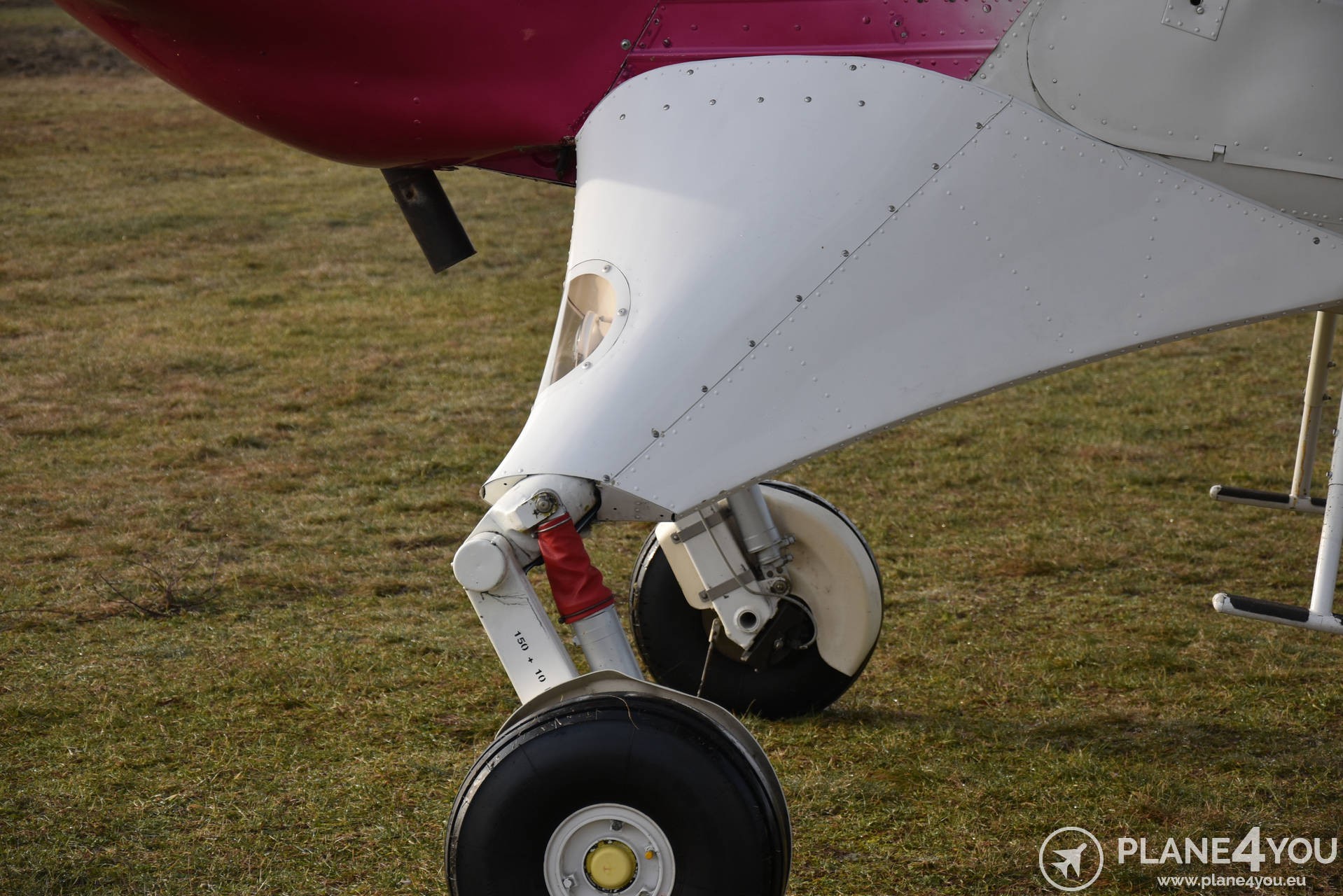 1996 PZL 104M Wilga 2000, photo 8