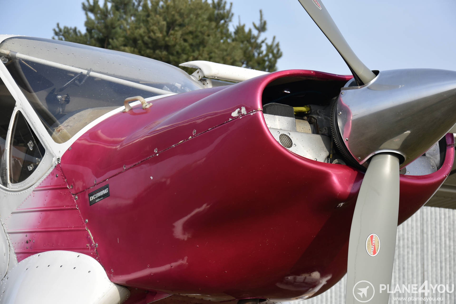 1996 PZL 104M Wilga 2000, photo 40