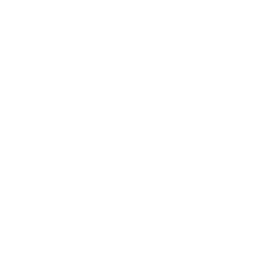 Plane4You white icon